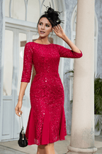Mother of the Bride Dress Sheath Sparkly Sequin Lace