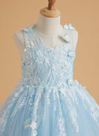 Vestido de princesa rosa para niña con apliques de encaje 