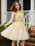 Vestidos de fiesta con encaje floral y corte A de tul minivestido