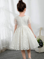NumberSea - Lace Kids Princess Cute Dresses Short Sleeves Birthday Dress Children's Occasion Wear Party Dresses Girls Flower Dresses