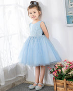 NumberSea - Light Blue Sleeveless Girls Princess Cute Dresses Birthday Dress Party Dresses Kids Dresses Boutique