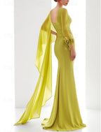 Gown Elegant Formal Fall Floor Length Long Sleeve V Neck Chiffon with Feather Ruched Ruffles Evening Dress