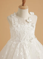 Vestido de princesa rosa para niña con apliques de encaje 