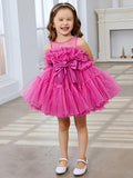 Vestido de niña de flores de tul rosa, sin mangas, con lazo, estilo princesa (010224355) 