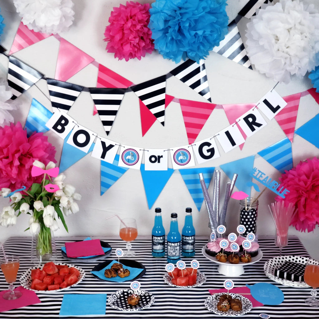 Gender Reveal Party Banner