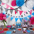 Gender Reveal Party Banner