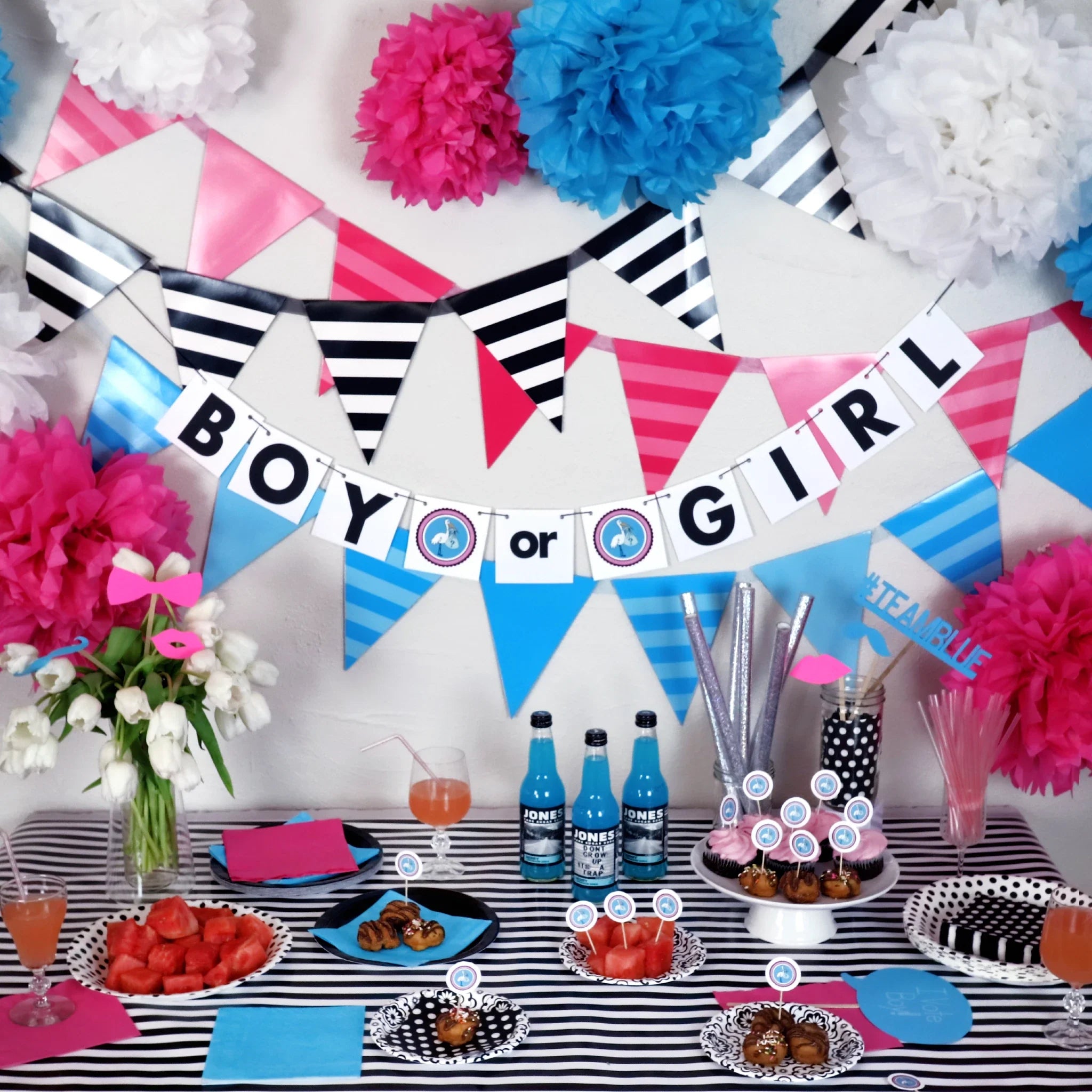 Gender Reveal Party Banner