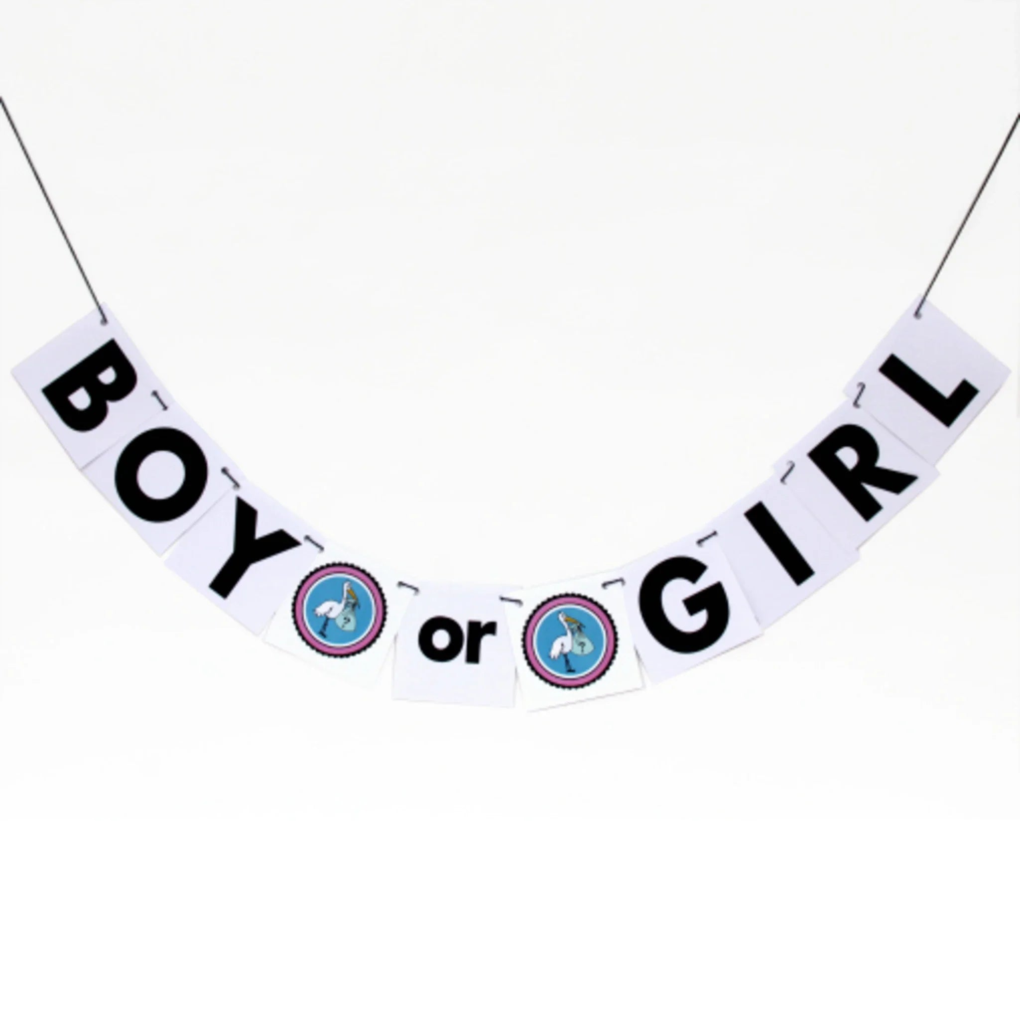 Gender Reveal Party Banner