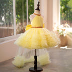 Tüllärmeliges, knielanges Baby-Mädchen-Kleid 