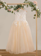 NumberSea - A - line Lace Tulle Floor - length Pink Dress (010226589)