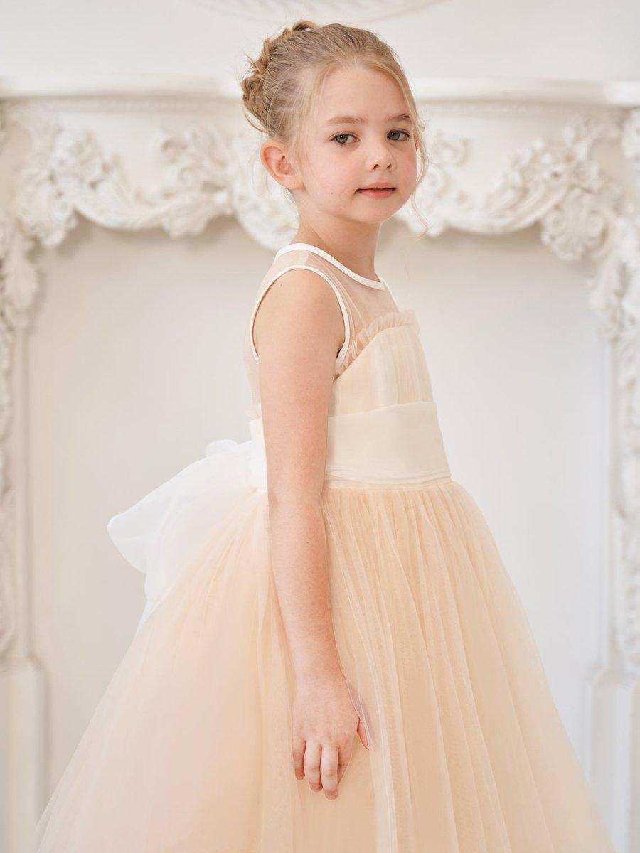 NumberSea - A - line Organza Tulle Floor - length Pink Dress (010226975)