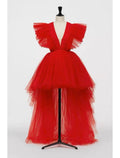 NumberSea - A - Line Prom Dresses Vintage Dress Masquerade Asymmetrical Sleeveless V Neck Tulle with Fringe