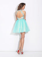 NumberSea - A - Line/Princess High Neck Lace Sleeveless Short Net Dresses