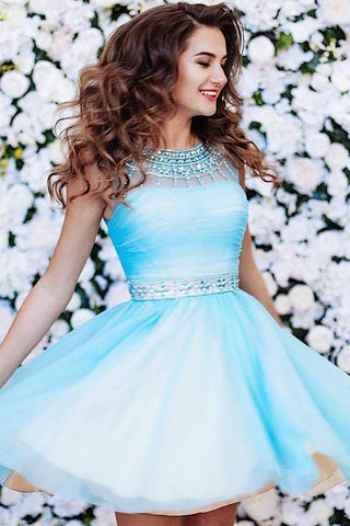 Cute A-line Blue Short  Prom Dress Tulle Homecoming Dress