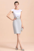 Elegant Silve Short Mother Of the Bride Dress Knee-Length Wedding Party Gowns