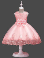 Princess Lace Tulle Sleeveless Jewel Neck Wedding Birthday Flower Girl Dresses