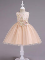 Kurzes Prinzessinnen-Kleid mit Spitze und Tüll, ärmellos, Rundhalsausschnitt, für Hochzeit, Geburtstag, Party