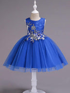 Kurzes Prinzessinnen-Kleid mit Spitze und Tüll, ärmellos, Rundhalsausschnitt, für Hochzeit, Geburtstag, Party
